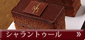 �V�������g�D�[��